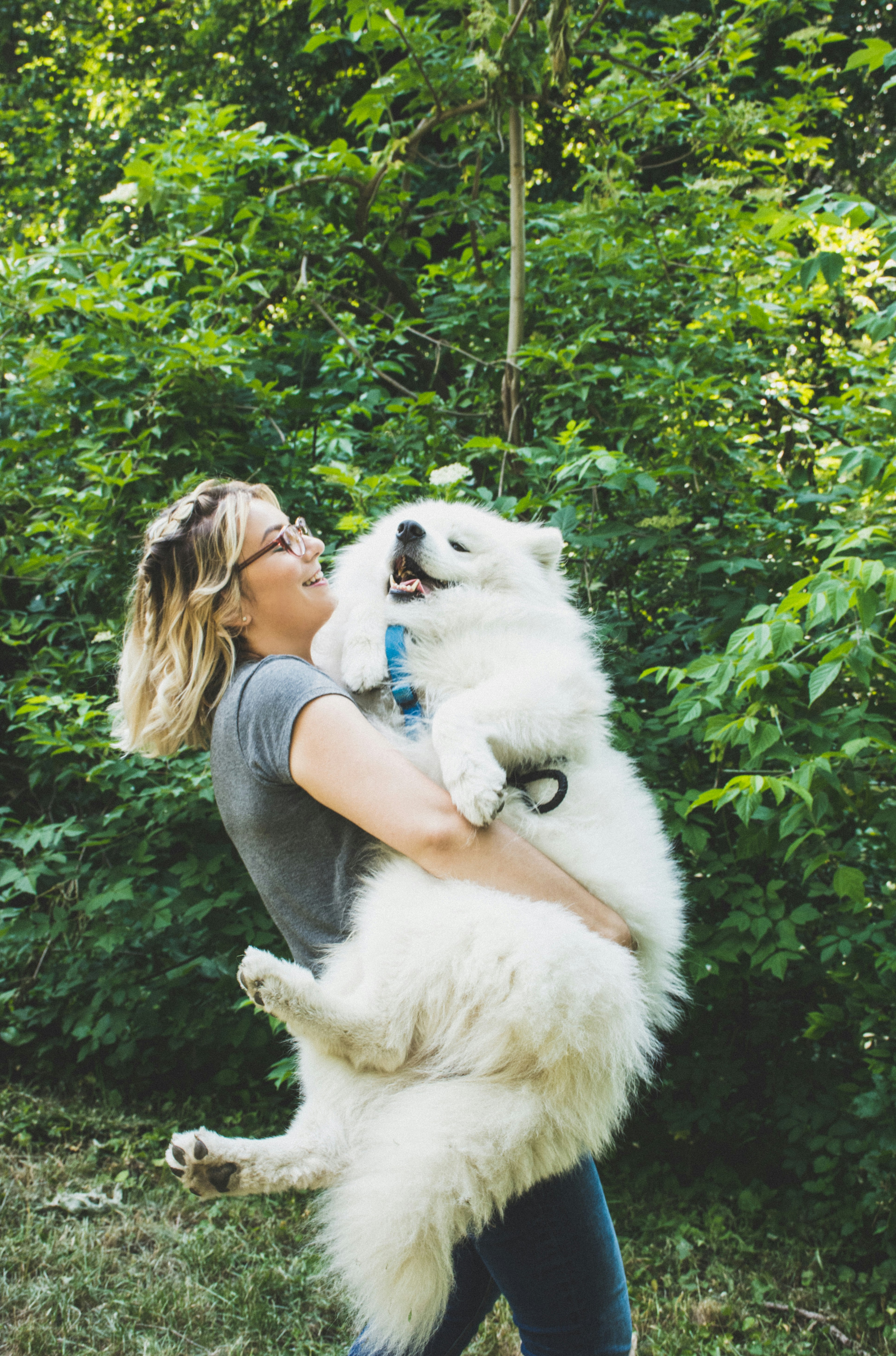 The Healing Power of Pets: How Animals Support Mental Health