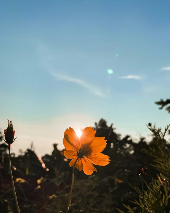 5 Traditional Mindfulness Skills & How to Adapt them for ADHD and Autism